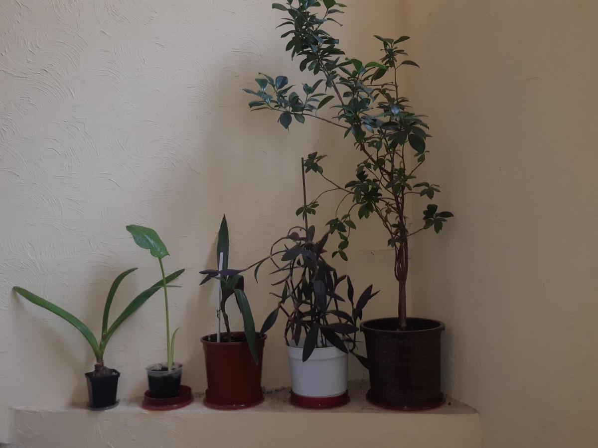Appartamento 75 Katerynyns'Ka Street Odessa Esterno foto